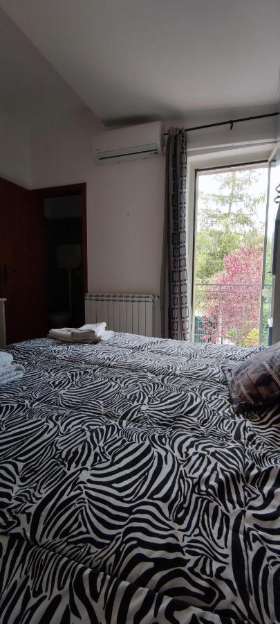 산세베리노 Il Ruscello B&B 외부 사진